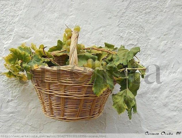 Cesta de Uvas Moscatel