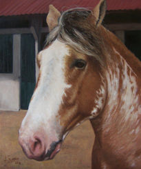 Caballo 05