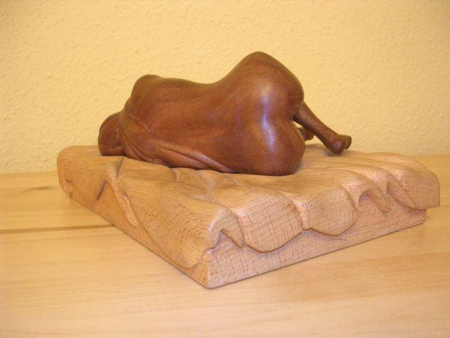 Sueño Madera Figurativa