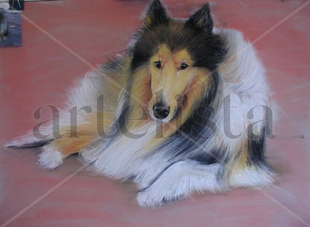 "Rocky" Pastel Cartulina Animales