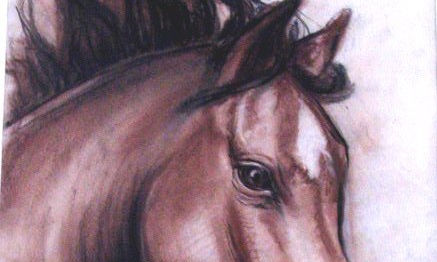 caballos