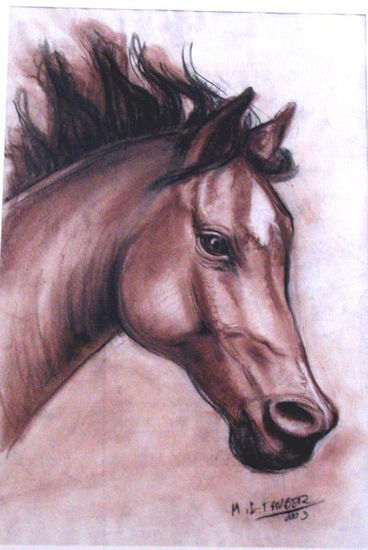 "arabe" Pastel Cartulina Animales