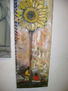 girasol
