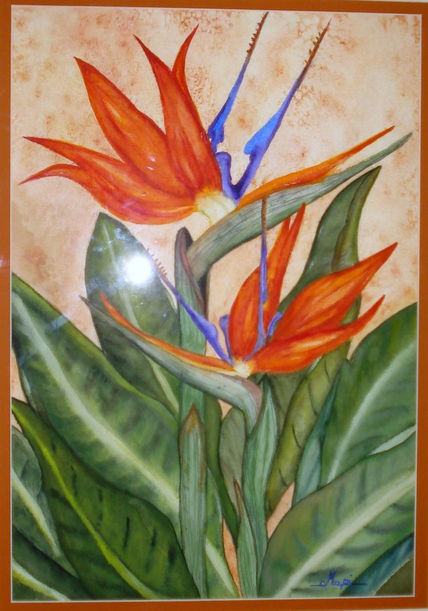 Esterlizias