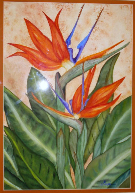 Esterlizias