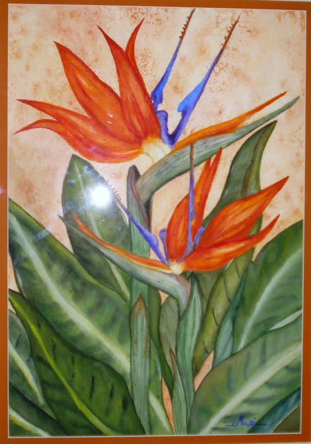 ESTERLIZIAS