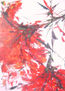 Color en Flor