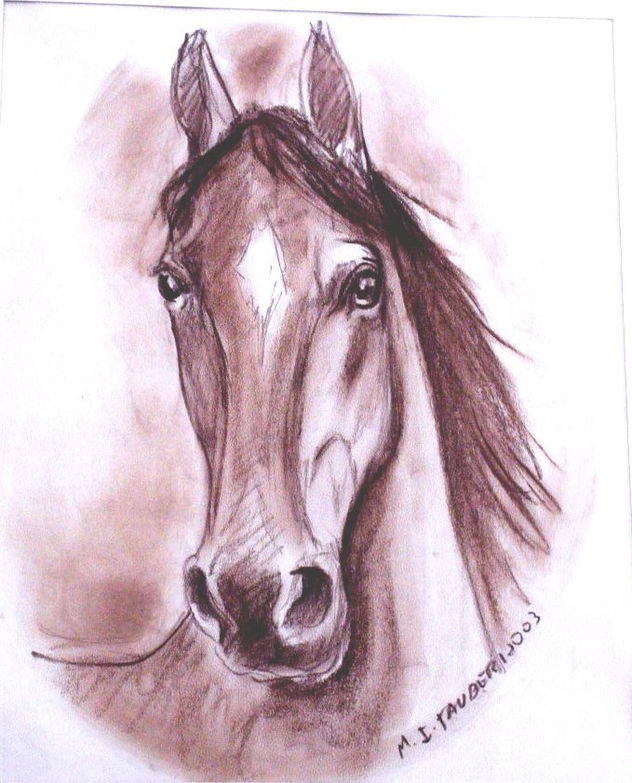 arabe sepia