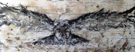 El vuelo