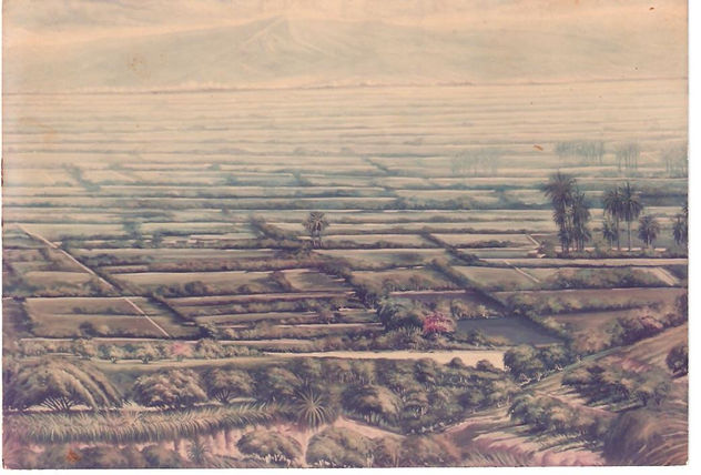 PANORAMICA DEL VALLE DEL TURBIO, BARQUISIMETO-ESTADO LARA.