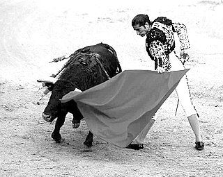 Dominando el territorio