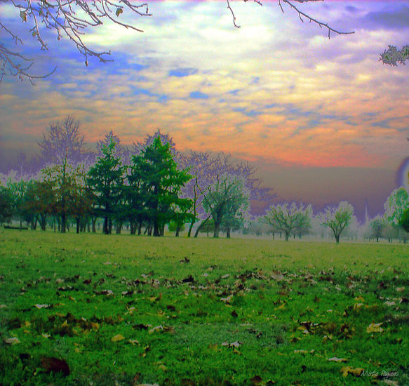 Paisaje de Invierno Nature Color (Digital)