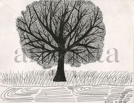Árbol