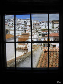 Tras la Ventana....