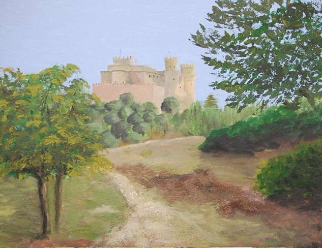 Castillo de Manzanares el Real Mixed media Panel Landscaping