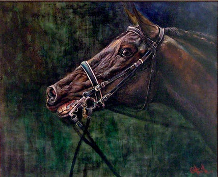 Cabeza de caballo