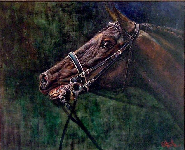 cabeza de caballo Oil Canvas Animals