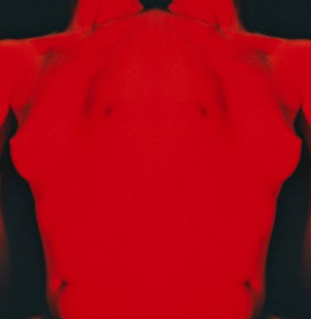 Torsos carmín