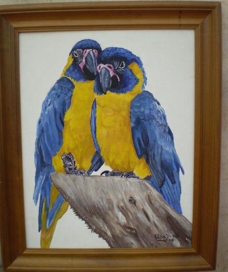 pareja de papagayos barbazules Oil Canvas Animals