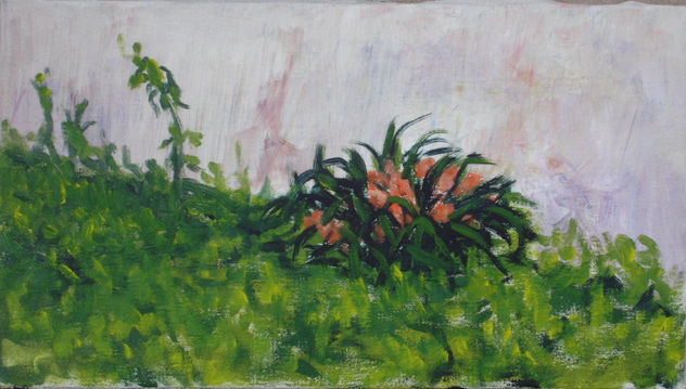 patio 3