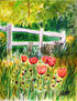 Amapolas