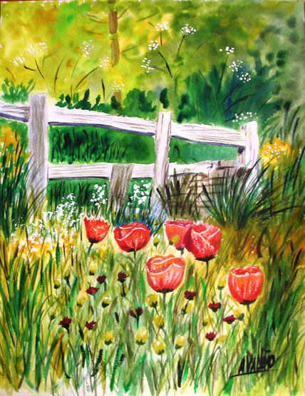 Amapolas