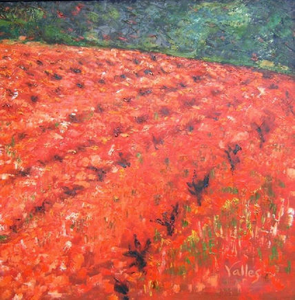 Campo de viñas en...