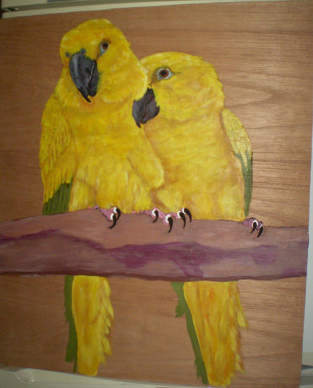 Aratinga Guarouba Acrylic Panel Animals