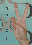 Proyecto Marcados:...