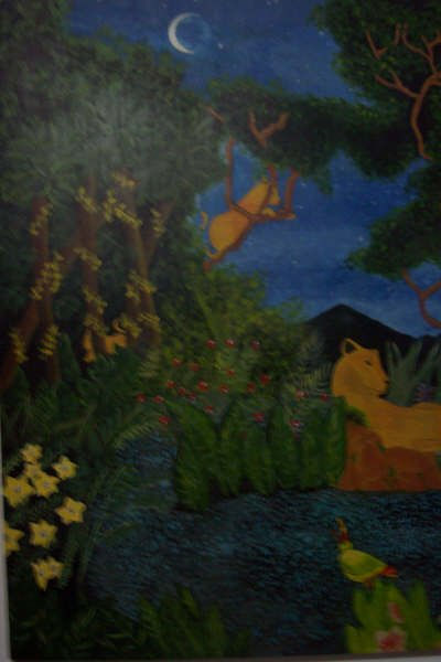 Leonas en la noche