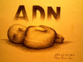 ADN