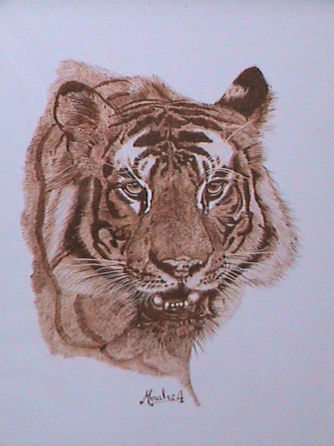 cabeza de tigre 2