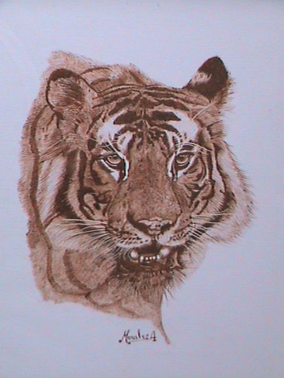 cabeza de tigre 2 Ink