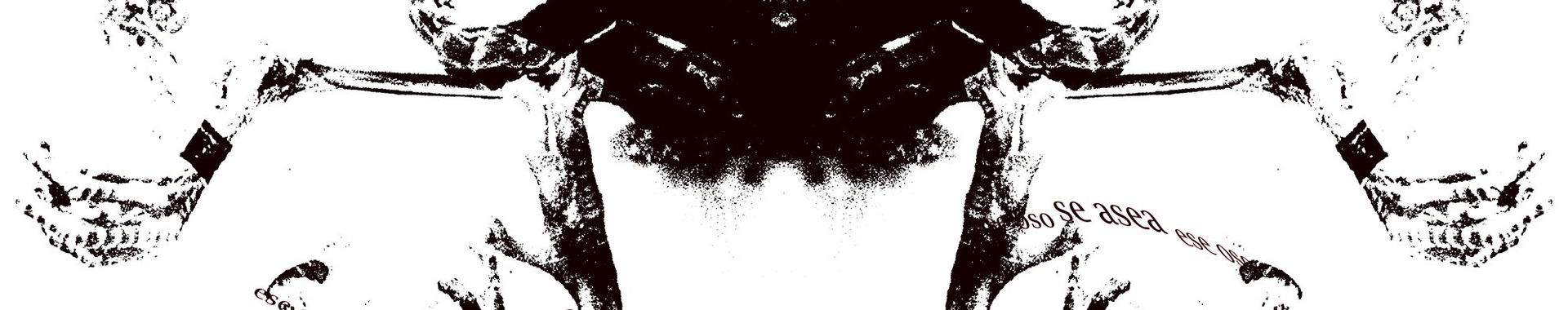 Imagen de portada