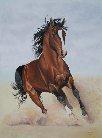 Caballo Segundo Oil Canvas Animals