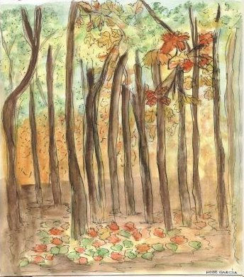 Bosque