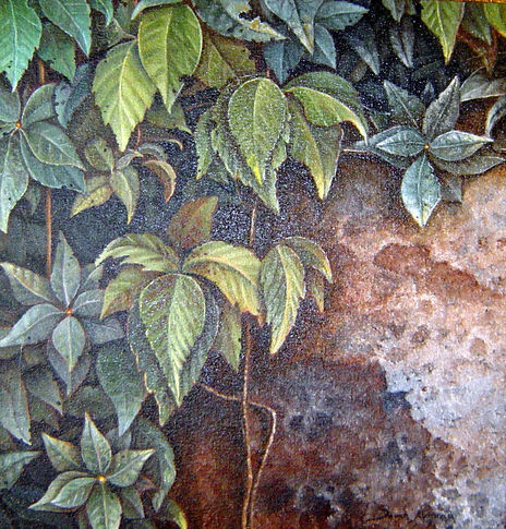 Trepadora