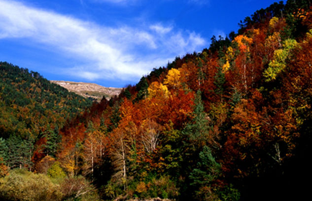 Otoño en Pirineos Nature Color (Manual)