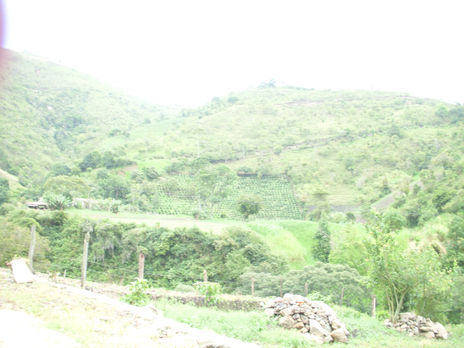 Pueblo de Bailadores