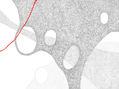 Composición en Blanco y Negro