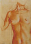 ESTUDIO DE DESNUDO
