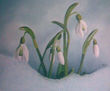 invierno