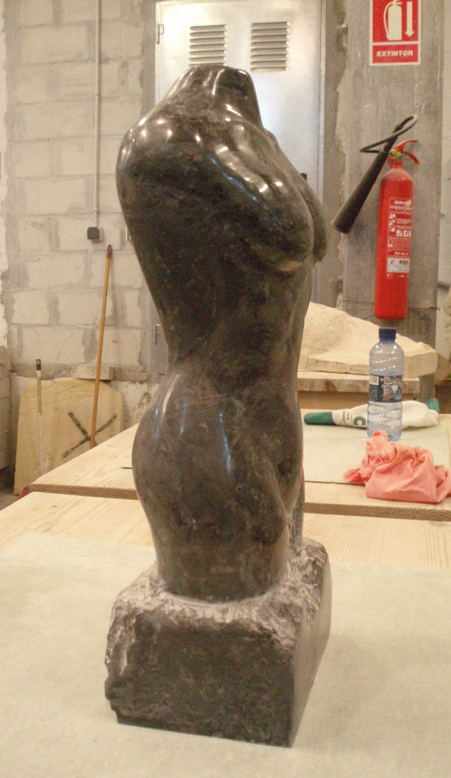 torso femenino