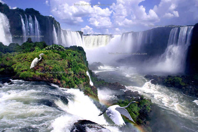 AVES EN IGUAZU Nature Color (Digital)