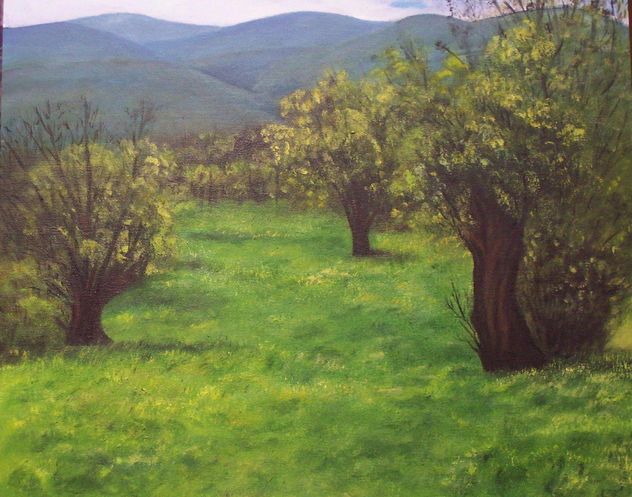 Pradera  en Valle del Paular