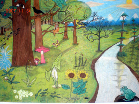 Bosque IGA
