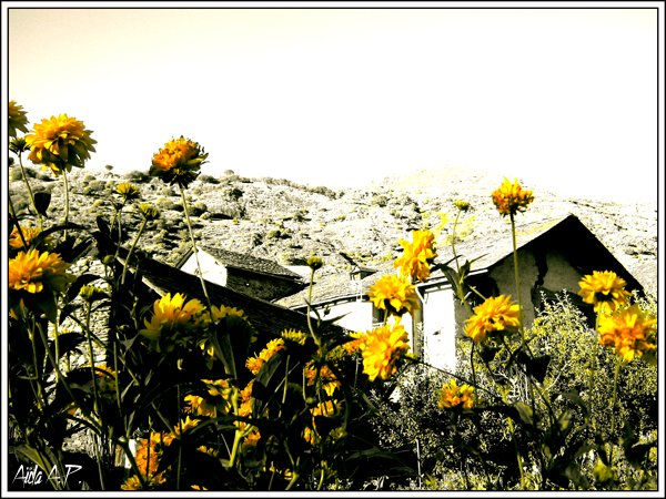 La casita de la montaña Nature Color (Digital)