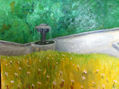 fuente