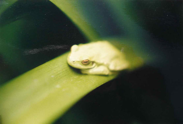 ABISMO Naturaleza Color (Química)