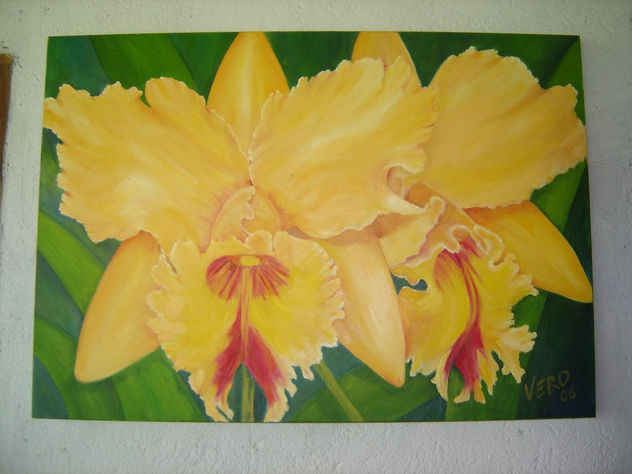 orquidea